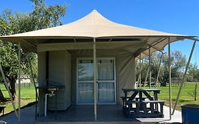 Kameeldoring Camping & Tented Chalets